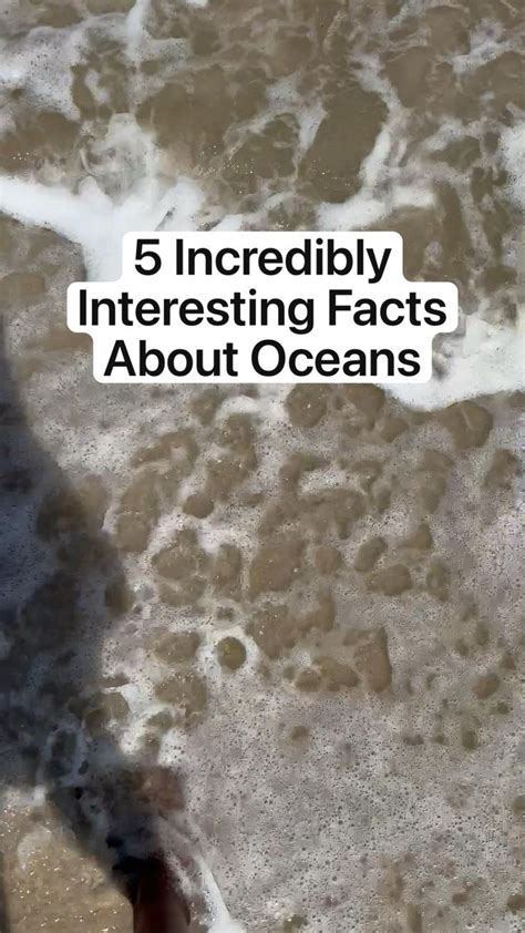 5 Incredibly Interesting Facts About Oceans Fun Facts Ocean Quotes