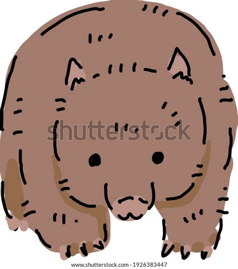 Wombat Illustration Rough Cute Kawaii Stock Vector Royalty Free