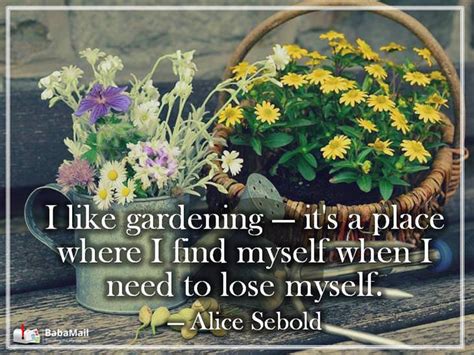 12 Beautiful Gardening Quotes Spirituality Babamail