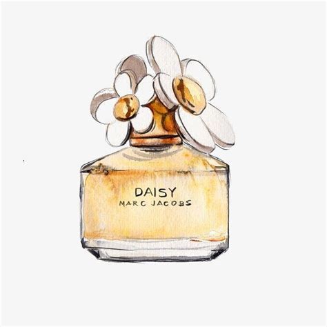 Perfume Bottle Drawing Transparent Background