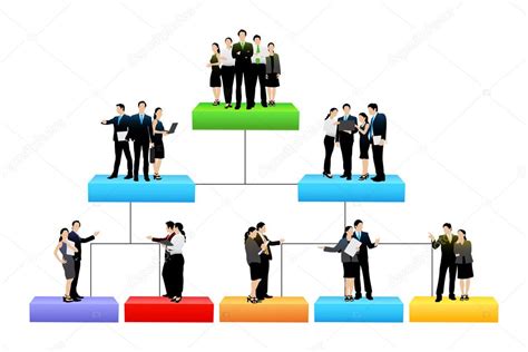 Organisation Tree With Different Hierarchy Level Stock Vector By