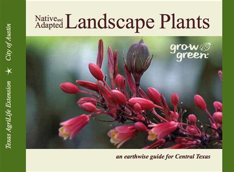 Plants.usda.gov this plant list is only a recommendation and has no legal effect in the state of texas. Native & Adapted Landscape Plants Guide from the City of ...