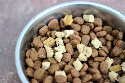 Discover The Top 10 Best Nature Variety Dog Foods For A Healthy Happy