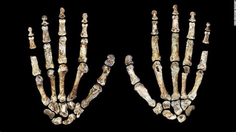 Homo Naledi New Species Of Human Ancestor Discovered Cnn