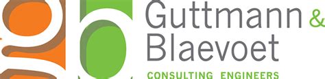 Guttmann And Blaevoet H1b Data H1b Data