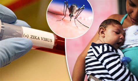 Zika Virus Is No Longer A Global EMERGENCY Declare World Health