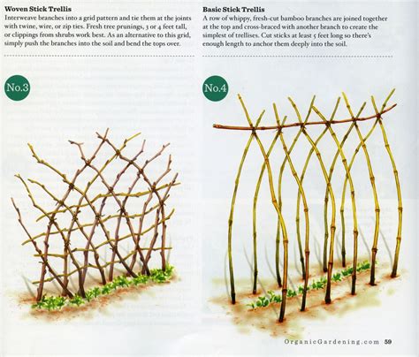 Building a trellis from lattice panels is a great diy project and can be completed in an afternoon. Making Your Own Garden Trellis - 365Preppers.com