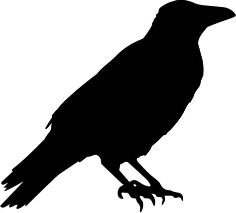 Crow Vector Silhouette Kostenloses Stock Bild Public Domain Pictures