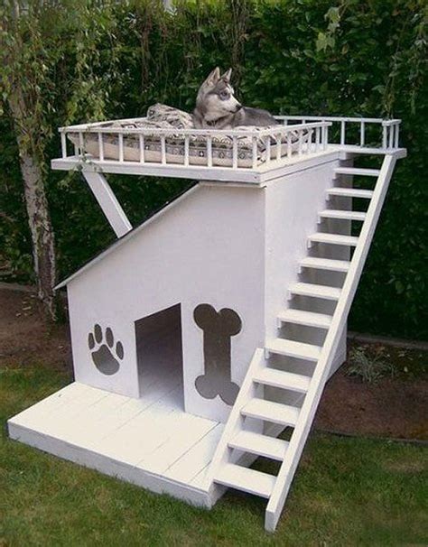 How To Build A Safe Dog House Correctly The Main Steps