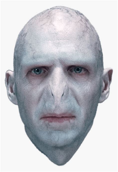 Ralph Fiennes As Lord Voldemort Lord Voldemort Hd Png Download Kindpng