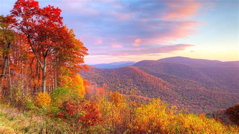 Landscape View Of Autumn Trees Covered Mountains Under Cloudy Blue Sky