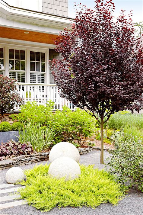 17 Good Trees For Front Yard 2023 Dhomish