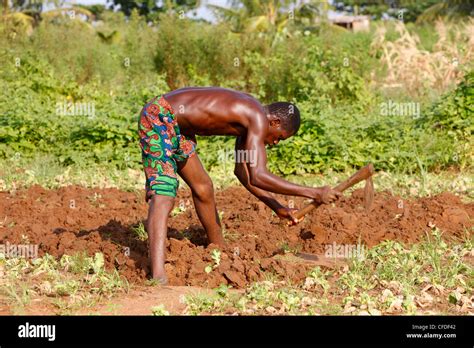 African Farmer Outside Lome Togo West Africa Africa Stock Photo Alamy