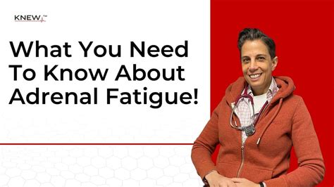 What You Need To Know About Adrenal Fatigue The Knew Method