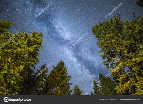 Pine Trees Silhouette Milky Way Night Sky Stock Photo By ©belish 162560276