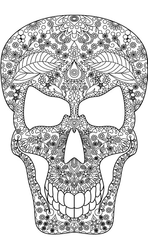 Pin van Barbara op coloring skull