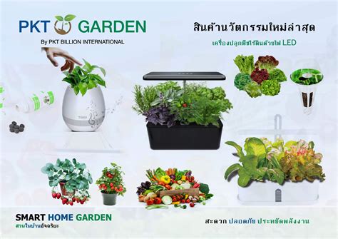 ต้นหม่อน นั้นมี 2 ชนิด คือ ต้นหม่อนสำหรับใช้รับประทานผล เรียก black mulberry และ ต้นหมอนสำหรับนำมาเลี้ยงไหม เรียก white mulberry Hydroponic LED plant growth tool - ชุดอุปกรณ์ปลูกพืชไร้ดิน ...