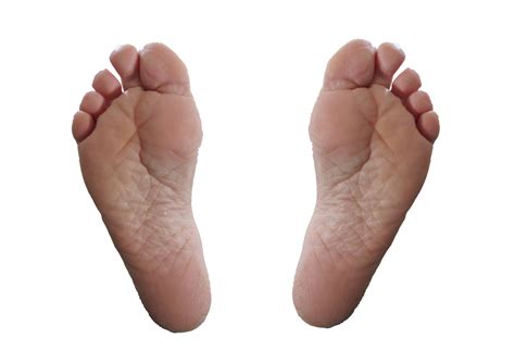2 Feet Free Stock Photo Public Domain Pictures
