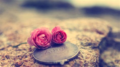 Love wallpaper | 1920x1080 | #38998
