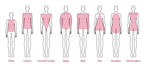 Set Of Women Body Shape Types Apple Pear Column Brick Hourglass