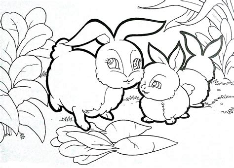 Gambar Mewarnai Binatang Coloring Pages Hewan Sketsa Burung Menggambar