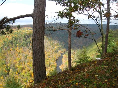 Maybe you would like to learn more about one of these? Vacation Getaway | Wild Asaph Cabin Rentals in Wellsboro PA