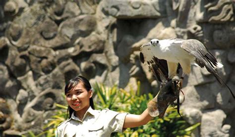 The Animal Show At Bali Safari And Marine Park