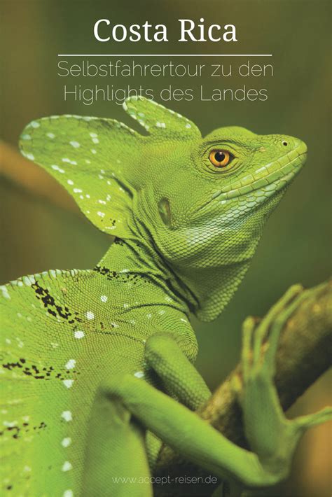 ˈkostɑ ˈrikɑ], spanisch für „reiche küste, deutsch früher auch kostarika) ist ein staat in zentralamerika, der im norden an nicaragua und im süden an panama grenzt. Costa Rica Reise - Selbstfahrertour zu den Highlights wie ...