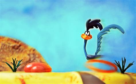 Looney Tunes Road Runner Cartoon