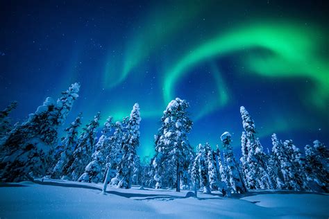 Wallpaper Lapland Finland Winter Snow Tree Night