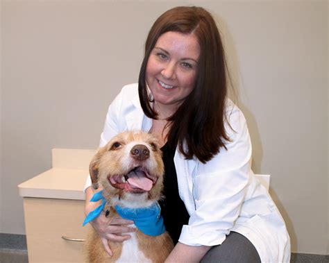 Our unique & affordable pet health care plans at our hospitals can be customized for your pet's needs at every life stage. Indianapolis Vets, Veterinarian in Indianapolis, Animal ...