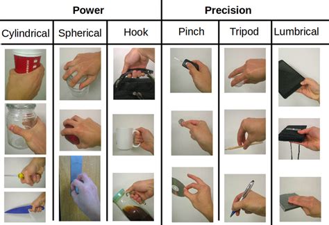Types Of Hand Grasp Patterns
