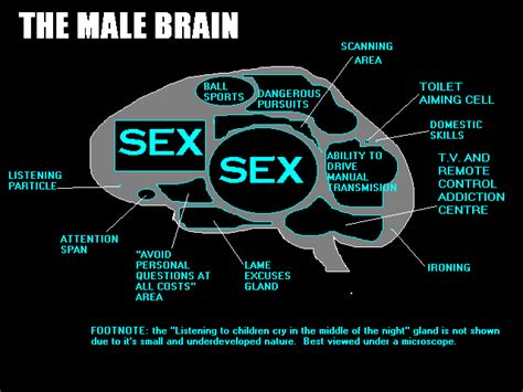 Cal Poly Bio 502 Physiology Of Sex