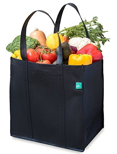 Earthwise Reusable Insulated Grocery Bags Heavy Duty Nylon Thermal
