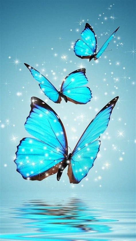 Blue Butterfly For Mobile Android 2020 Cute Hd Phone Wallpaper Pxfuel