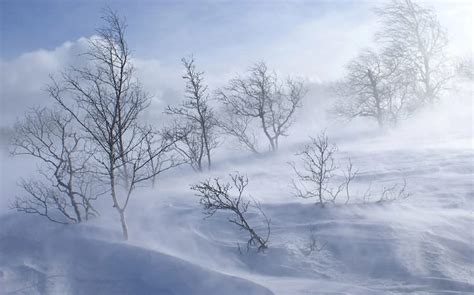 Winter Survival 101 The Harshest Of Seasons Preparedness Advice