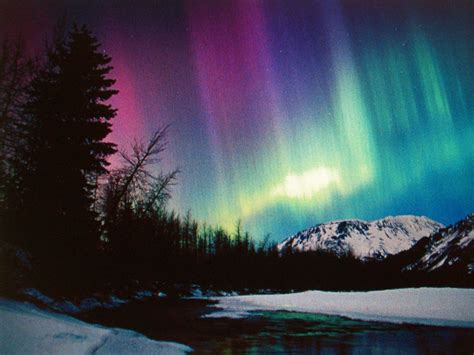 See the Northern Lights | Alaska northern lights, Northern lights wallpaper, See the northern lights