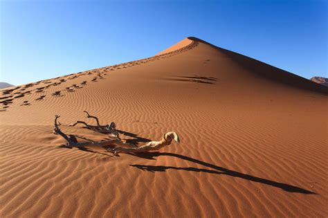 What Is The Largest Desert In The World Guess The Location