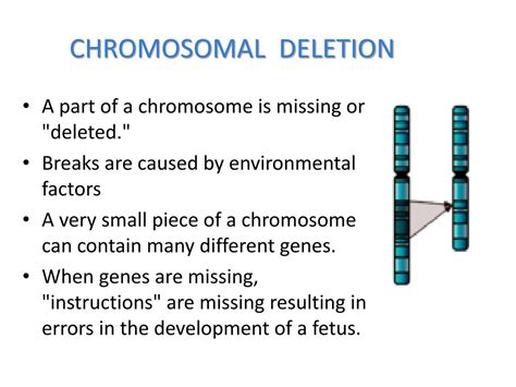 Ppt Chromosomal Abnormalities Powerpoint Presentation Free Download Id