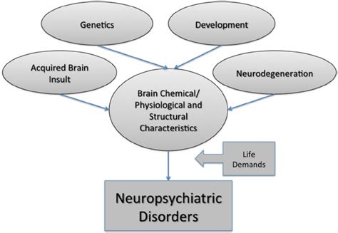 Multiple Factors Contribute To Neuropsychiatric Disorder Download Scientific Diagram