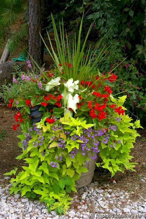 Container Gardening Ideas For Full Sun Containergardeningideas