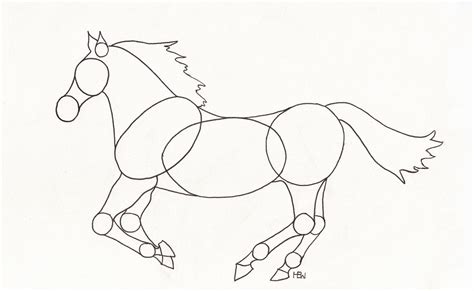Step By Step Drawing Horse At Getdrawings Free Download