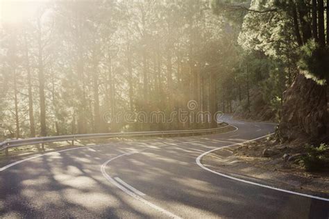 Winding Asphalt Road Surrounded By Greens Stock Photo Image Of Route
