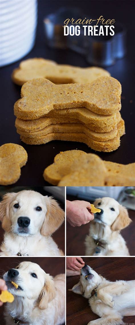 Whether your cat prefers wet food, dry food or loves a specific flavor, you can find a grain free option she's sure to love. 5 Ingredient Grain-Free Dog Treats | Dog treats grain free ...
