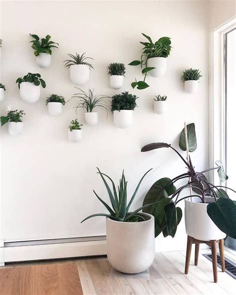 Wonderful Indoor Plant Wall Ideas Gardenideazcom