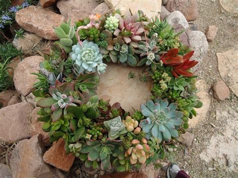 Items Similar To Ships May 28 Living Succulent Wreath