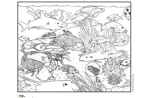 Use this egypt coloring page to show your child some of the wonders of the ancient world. National Geographic Coloring Pages! | Coloring pages for ...
