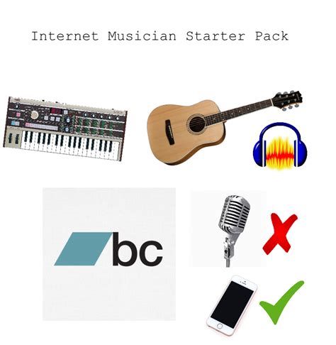 Internet Musician Starter Pack Rstarterpacks