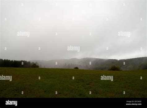 Closeup Of Mystical Fog Forest Mist And Low Hanging Clouds Moving Through Trees Stock Photo Alamy