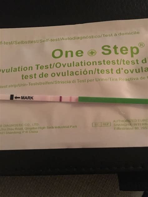 Can Ovulation Tests Predict Pregnancy